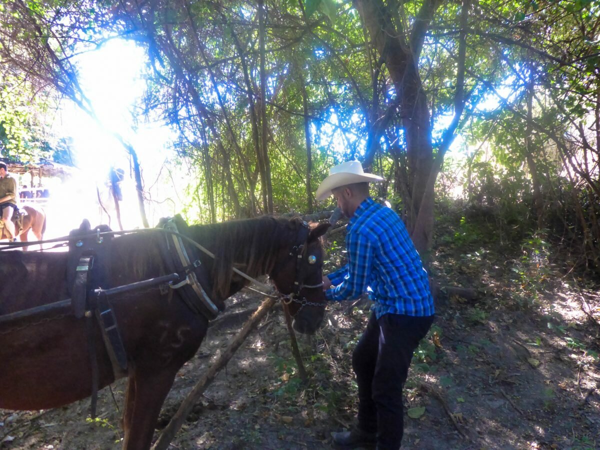 our cowboy showing us how to horse ride in cuba