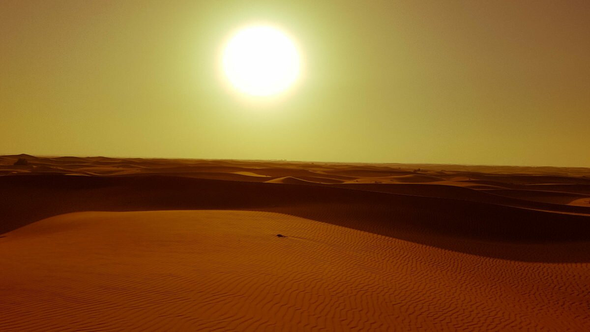 sunset desert safari